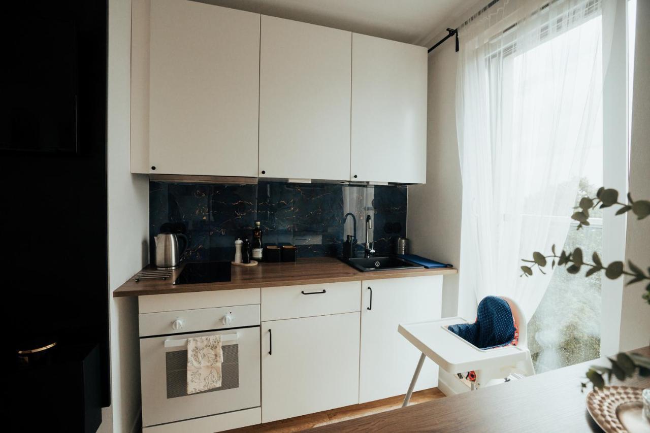 Blue_Loft Apartment Sandomierz Exterior photo